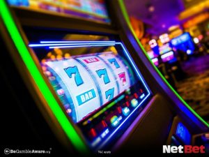 5353win - Cassino Online para Bet