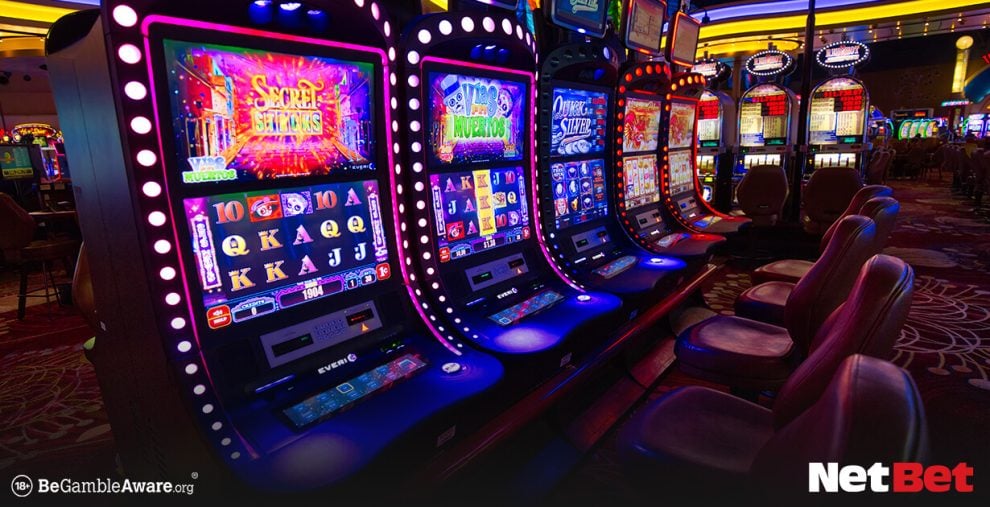 5353win - Slot Oficial Bet